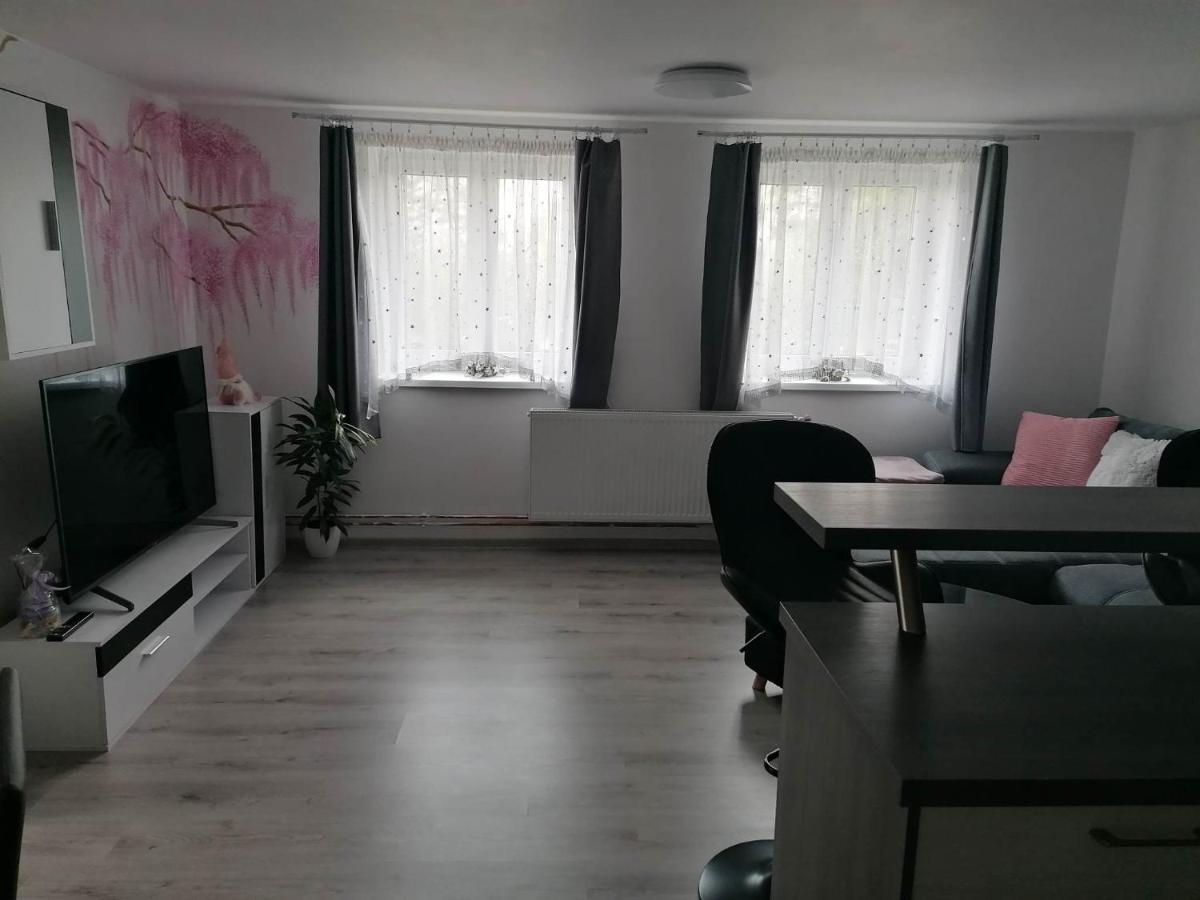 Ubytovani Dobesov Guest House Cernovice  Bagian luar foto